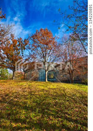 秋天色彩的城市藝術博物館 秋天色彩的城市藝術博物館 134220891