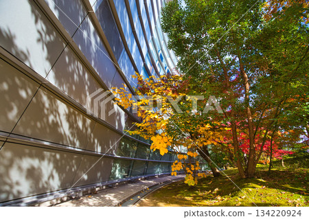秋天色彩的城市藝術博物館 134220924