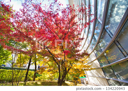 秋天色彩的城市藝術博物館 134220943
