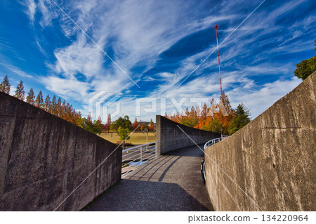 秋天色彩的城市藝術博物館 134220964