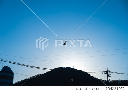 Birds and silhouettes flying in the blue sky Birds and silhouettes flying in the blue sky 134221051