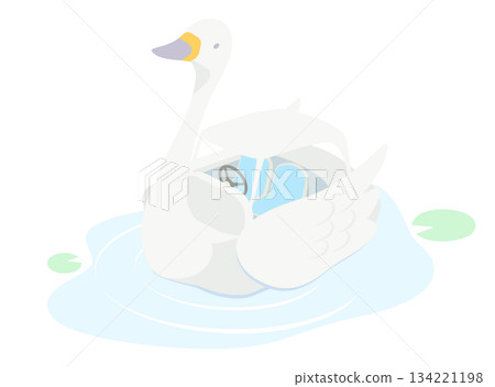 天鵝船插圖 134221198