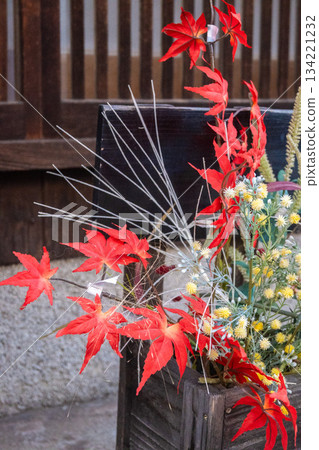 Okayama Prefecture (December) [Autumn Foliage] A park dyed red with autumn leaves. Autumn leaf viewing. 134221232