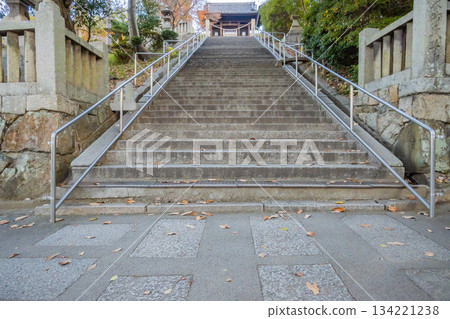 岡山縣（12月）[神社]倉敷市阿知神社：通往神社的漫長而陡峭的階梯 134221238