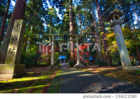Autumn Sword Shrine Autumn Sword Shrine 134221580
