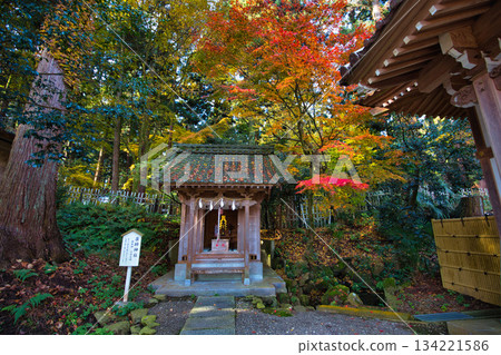 Autumn Sword Shrine 134221586
