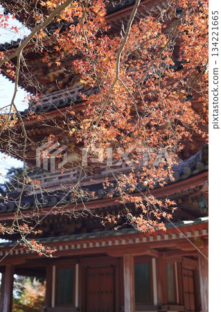 Autumn mountain temple surrounded by autumn leaves Autumn mountain temple surrounded by autumn leaves 134221665