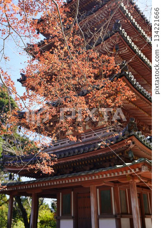 秋葉環繞的秋天山寺 秋葉環繞的秋天山寺 134221666