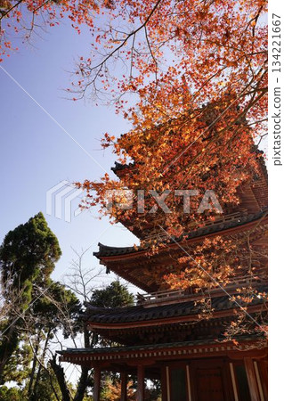 Autumn mountain temple surrounded by autumn leaves Autumn mountain temple surrounded by autumn leaves 134221667