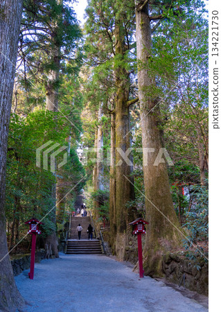 Hakone shrine entrance 134221730
