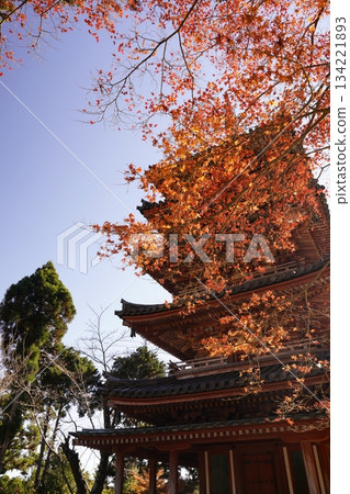 秋葉環繞的秋天山寺 秋葉環繞的秋天山寺 134221893