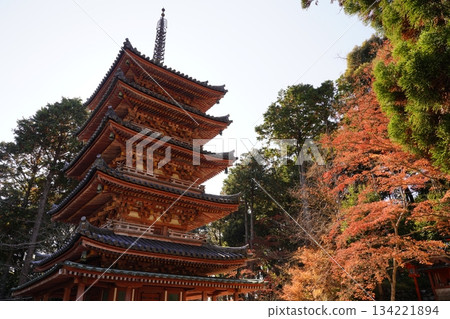 Autumn mountain temple surrounded by autumn leaves 134221894