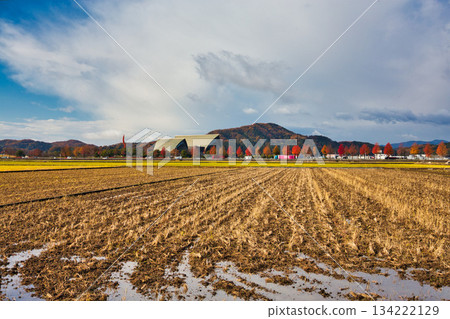 Sunny morning rural landscape 134222129