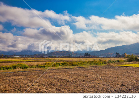 Sunny morning rural landscape Sunny morning rural landscape 134222130