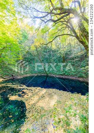 秋天的青池，青森縣西津輕郡 134222160