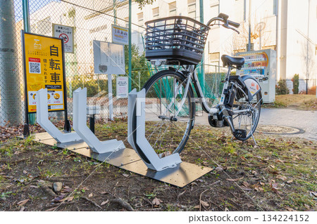 Rental bicycles in the park 134224152