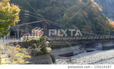 Oigawa Railway Ikawa Line Ichishiro Suspension Bridge as seen from Abt Ichishiro Station 134224167