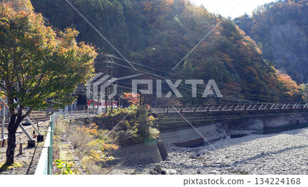 Oigawa Railway Ikawa Line Ichishiro Suspension Bridge as seen from Abt Ichishiro Station 134224168