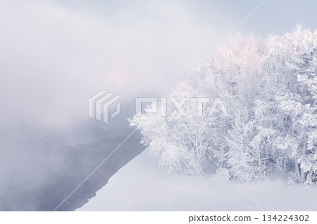 A winter scene in Krasnoyarsk, Russia, features trees blanketed in frost. The landscape shows a snowy ground and fog rolling in, marking the holiday season. High quality photo 134224302