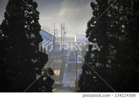 一個神秘的山村，薄霧透過雪松林隱約可見。 134224306
