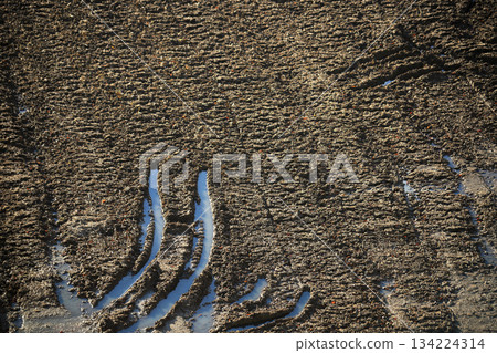 收割後稻田裡的拖拉機車轍 134224314