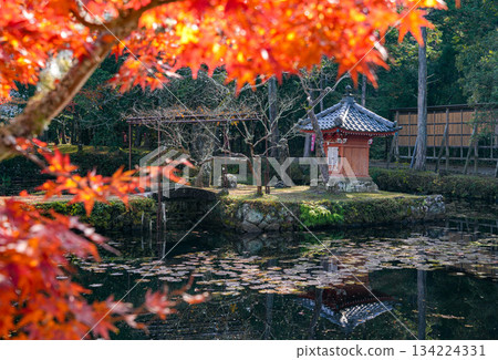 二部大師神社的秋葉 二部大師神社的秋葉 134224331