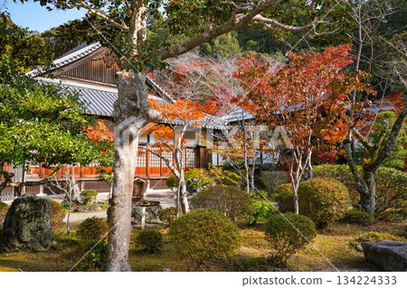 二部大師神社的秋葉 134224333