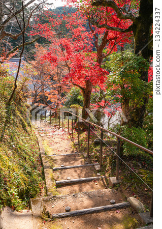二部大師神社的秋葉 二部大師神社的秋葉 134224337