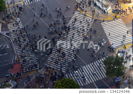 japanese cross the road on Shibuya street. Shibuya crossing is one of the famous business area in Tokyo. 134224346