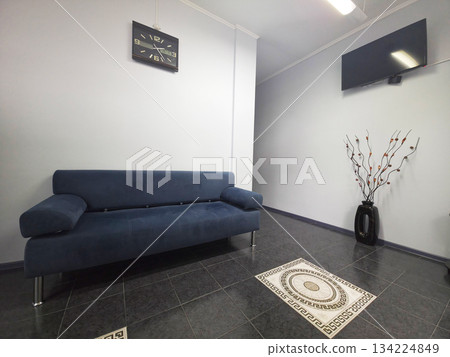 Modern Waiting Room with Blue Sofa and Decor Modern Waiting Room with Blue Sofa and Decor 134224849