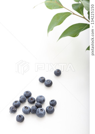 藍莓,白色背景 藍莓,白色背景 134225150