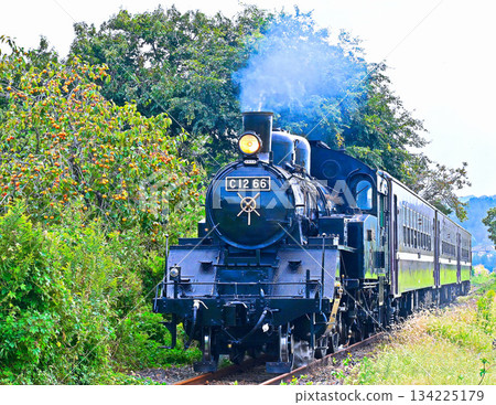 Steam locomotive of Moka railroad 134225179
