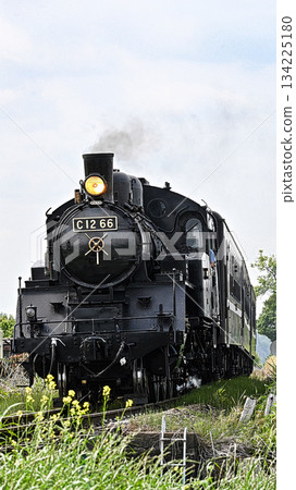 Steam locomotive of Moka railroad 134225180