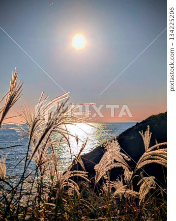 Autumn coast 134225206