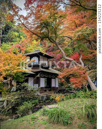 Autumn Sansei Park 134225212