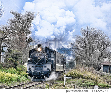 Steam locomotive of Moka railroad 134225235