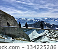 Alpine Choughs, observation deck of Mount Pilatus 134225286