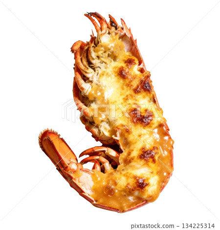 Succulent Lobster Thermidor, gourmet seafood dish with rich creamy sauce, meat, and delicious baked cheese 134225314