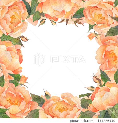 Square frame of lush orange roses. Watercolor illustration hand drawn and isolated on a white background. Ideal for decorating postcards, wedding invitations, polygraph, textile. Also for your design 134226330