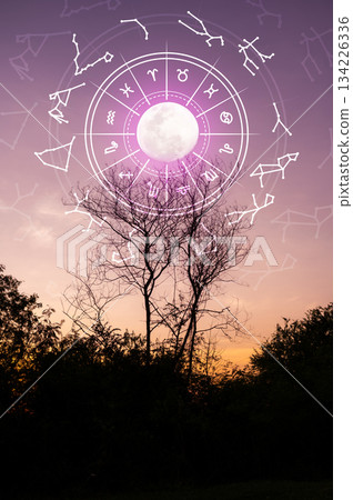 Zodiac signs and astrology with constellations, concepts, predictions, horoscopes, beliefs Zodiac signs and astrology with constellations, concepts, predictions, horoscopes, beliefs 134226336