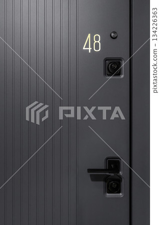 Modern Apartment Metal Door with Number 48 and Black Handle Modern Apartment Metal Door with Number 48 and Black Handle 134226363
