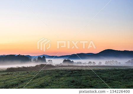Gradient autumn colors spreading across the misty field at dawn 134226400