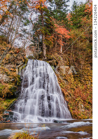Autumn leaves in Nishi-Oppo Village, Gyoja Falls, and a natural landscape enveloped in tranquility Autumn leaves in Nishi-Oppo Village, Gyoja Falls, and a natural landscape enveloped in tranquility 134226404