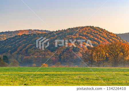 秋色斑斕的山丘和清晨的草原景色 134226410