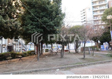 2024年，福岡，福岡市，風景，舞鶴，中央區，長濱公園，第15部分 134227131