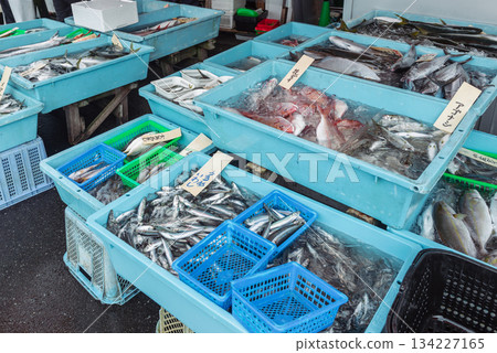 Fresh fish and seafood lined up at the fish market 134227165