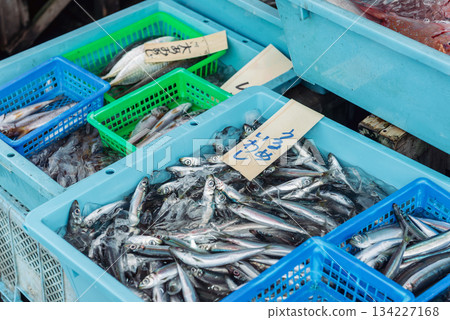 新鮮捕撈的圓鯡和竹莢魚整齊地排列在魚市上。 134227168