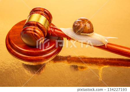 Snail and hammer of justice. The concept of slow adoption of laws and judicial decision Snail and hammer of justice. The concept of slow adoption of laws and judicial decision 134227193