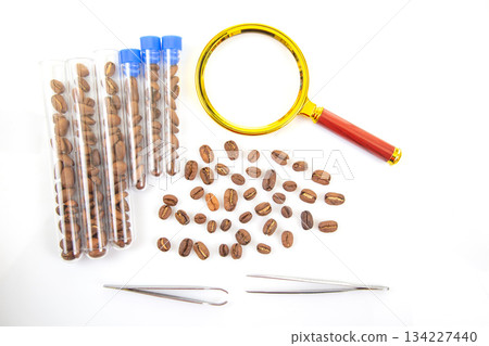 Food Science and Coffee Testing A professional analysis setup with coffee beans 134227440