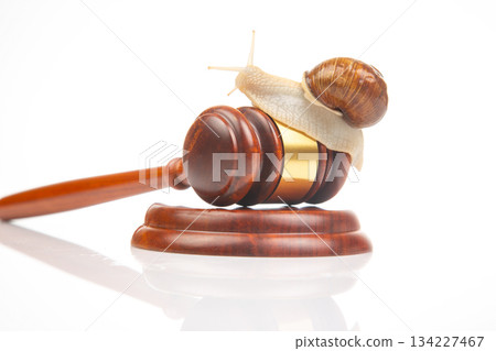 Snail and gavel of justice on a white background. The concept of slow adoption of laws 134227467
